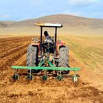 کشت پاییزه گندم در ۱۸ هزار هکتار از زمین‌های سیستان و بلوچستان