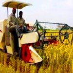 رشد چشمگیر استفاده از فناوری مکانیزه در بخش کشاورزی در گیلان