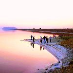 چهار محصول کشاورزی که ۶۸درصد آب دریاچه ارومیه را بلعیدند