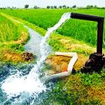 مصرف آب بخش کشاورزی به کمتر از ۷۰ درصد می‌رسد