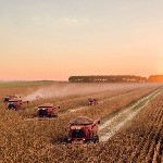 تغییرات آب‌وهوایی و کاهش ۲۱ درصدی بهره‌وری کشاورزی