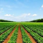 افتتاح ١١ طرح آب و خاک بخش کشاورزی در شهرستان هیرمند