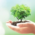 «شناخت محیط زیست» اجباری شد