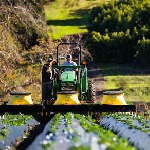انعقاد قراردادهای کشاورزی به ارزش ۹۵ میلیارد تومان در خراسان جنوبی