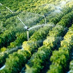 افتتاح پروژه آبیاری نوین مزرعه تعاونی تولید اسلام آباد در مانه و سملقان