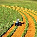 ثبت ۳۰ هزار هکتار از اراضی لرستان در قالب کشاورزی قراردادی