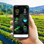 نخستین مزرعه هوشمند کشور راه‌اندازی می‌شود